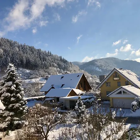 Haus Schloessleblick Appartement