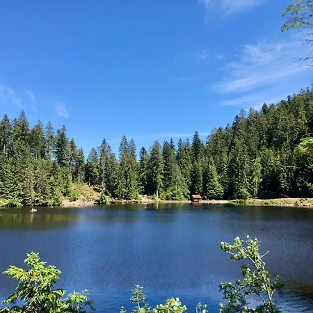 Haus Schloessleblick Appartement Oberwolfach
